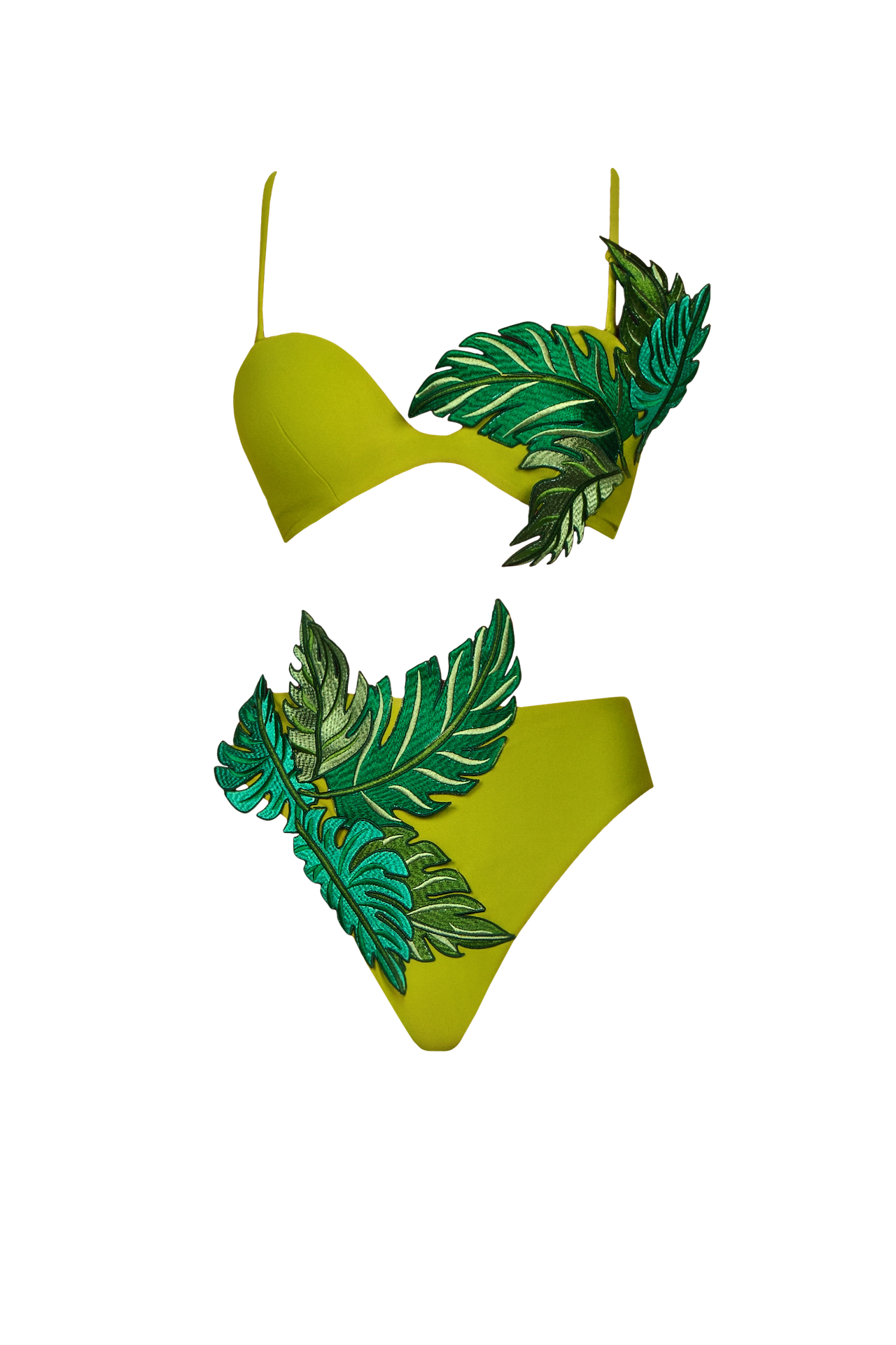 IVY TOP